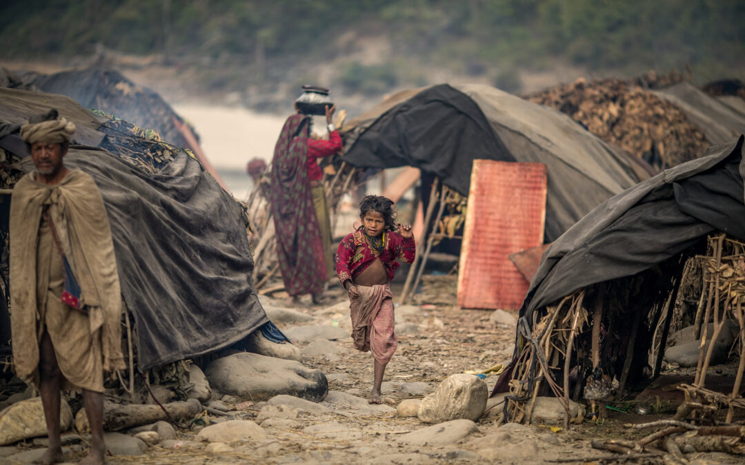 Raute Nomads