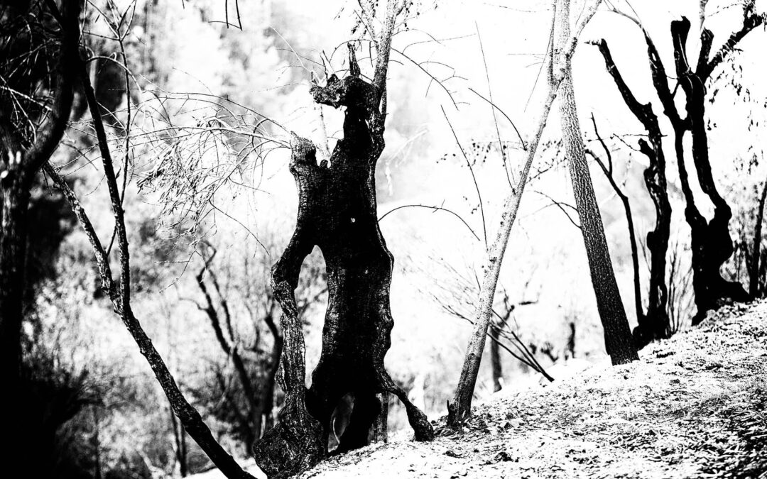After the fire B&W